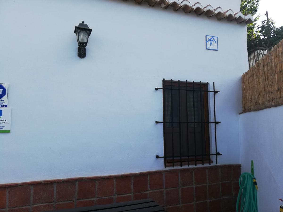 Ferienhaus Casa Cueva El Zagal *